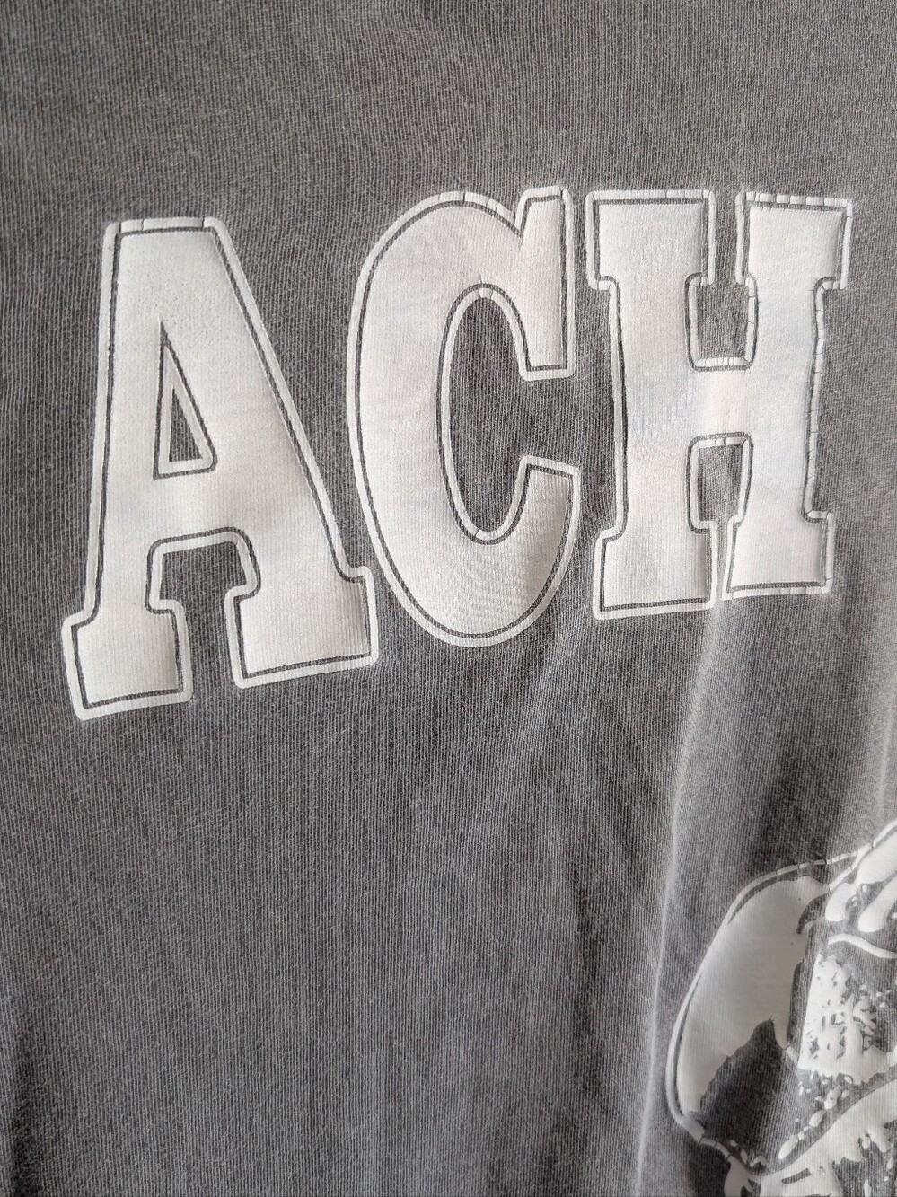 Zach Bryan T Shirt, Grey Size Large - Picture 4 of 11